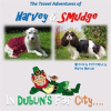 The_Travel_Adventures_of_Harvey___Smudge__In_Dublin_s_Fair_City