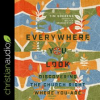 Everywhere_You_Look