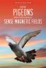 How_pigeons_and_other_animals_sense_magnetic_fields