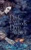 Dark_woods__deep_water