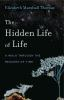 The_hidden_life_of_life