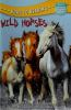 Wild_horses