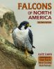 Falcons_of_North_America