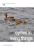 Cycles_in_Living_Things_-_Spanish