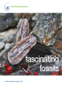 Fascinating_Fossils