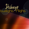 Twilight_Flight