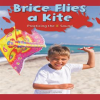 Brice_Flies_a_Kite
