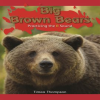 Big_Brown_Bears