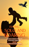 Flying_Solo_and_Soaring