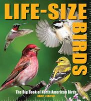 Life-size_birds