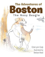 The_Adventures_of_Boston