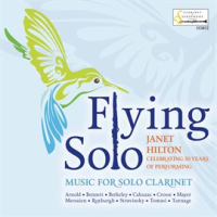 Flying_Solo
