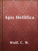 Apis_Mellifica