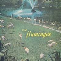 The_Flamingos